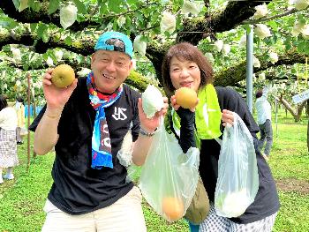 収穫した梨を両手に持つ参加者
