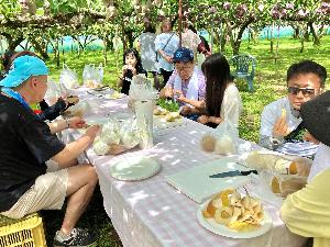 梨を自分で切って食べる参加者
