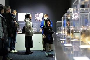 産業史料館スタッフによる館内ガイドを聞きながら展示を眺める参加者の皆さん