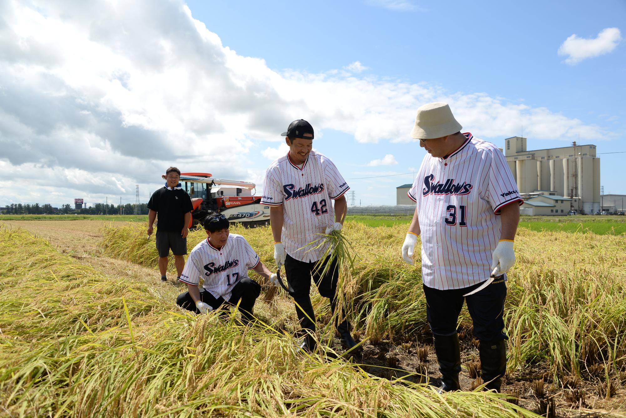 20250915ricefarm