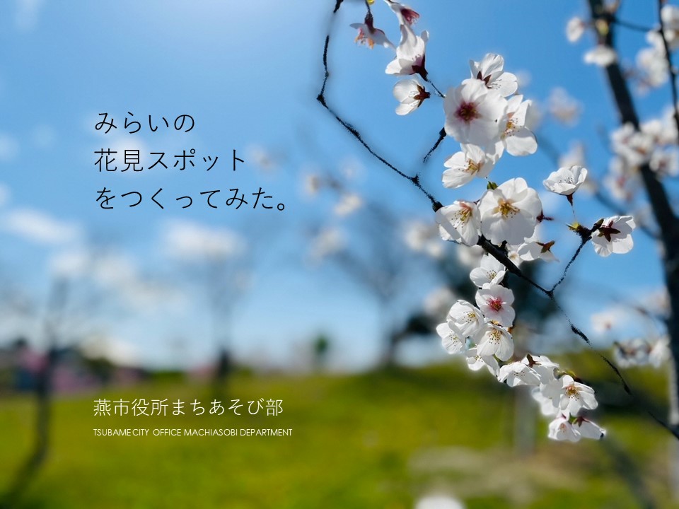 桜が美しいイベント告知画像