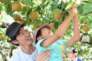梨収穫体験を楽しむ親子