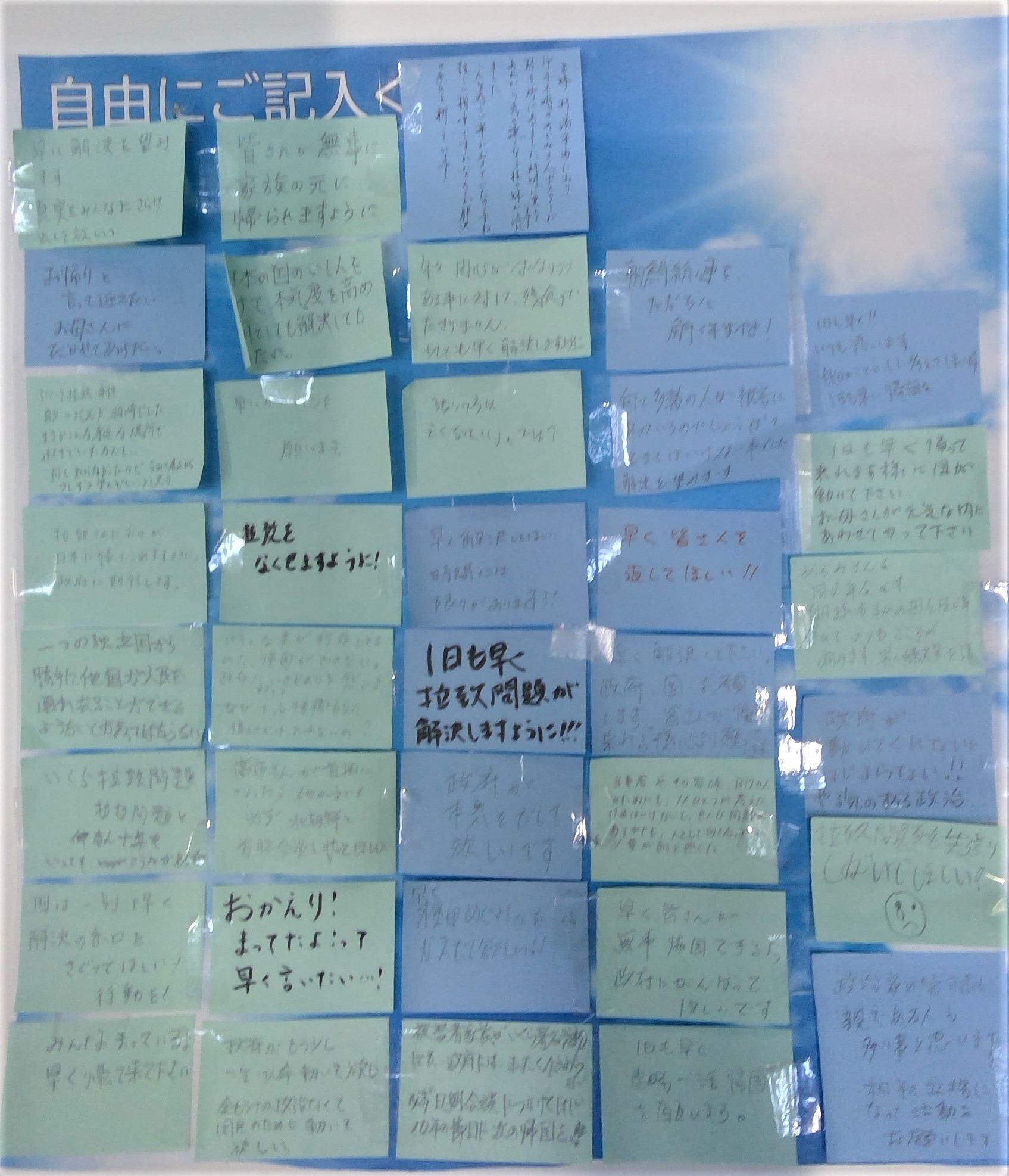 自由記入の書き込み