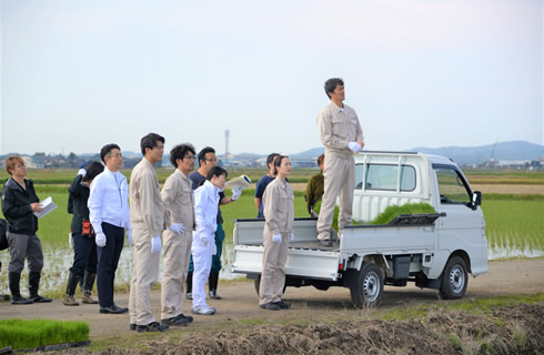 粟生津地区の田んぼ