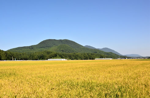 国上山